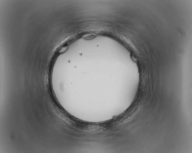 X0000112400399200909110933