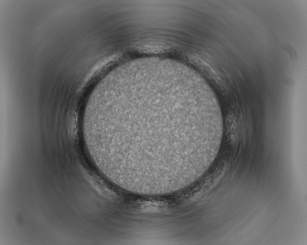 X0000112400400200909110933