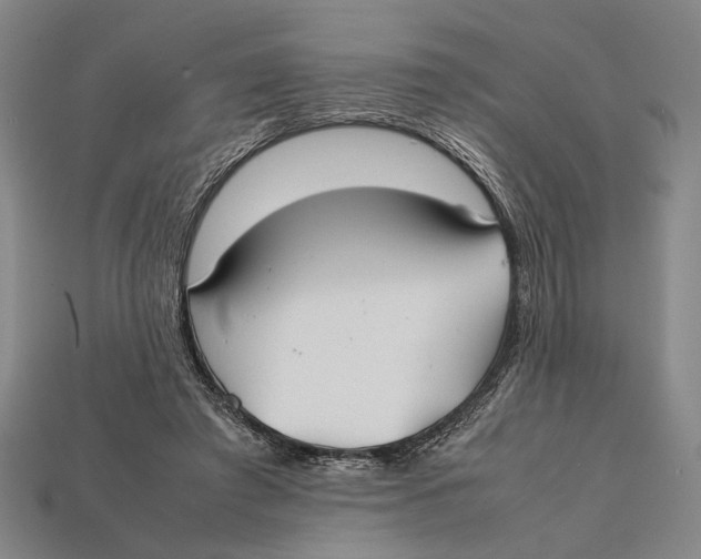X0000112400401200909110933