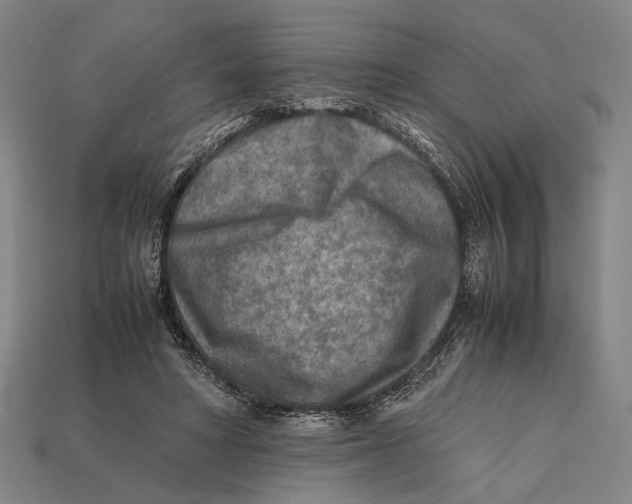 X0000112400402200909110933