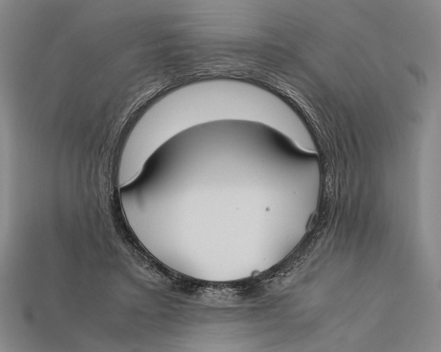 X0000112400403200909110933