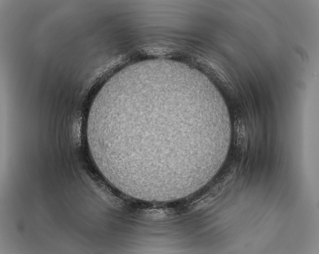 X0000112400404200909110933