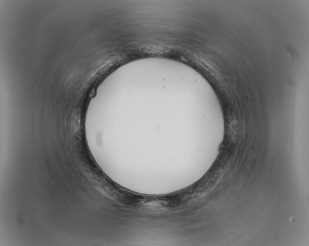 X0000112400407200909110933