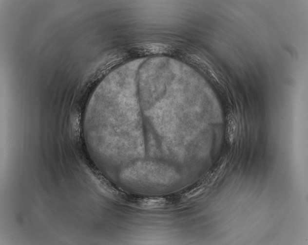 X0000112400410200909110933