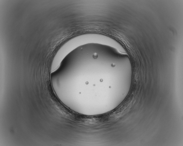 X0000112400411200909110933