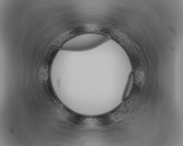 X0000112400413200909110933