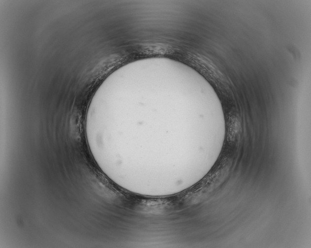 X0000112400414200909110933