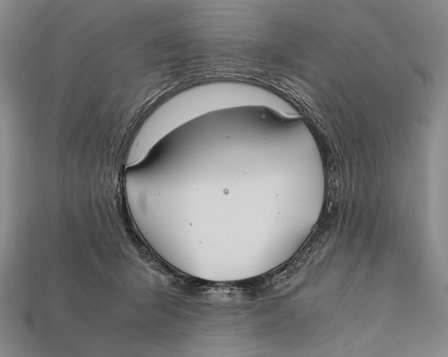 X0000112400415200909110933