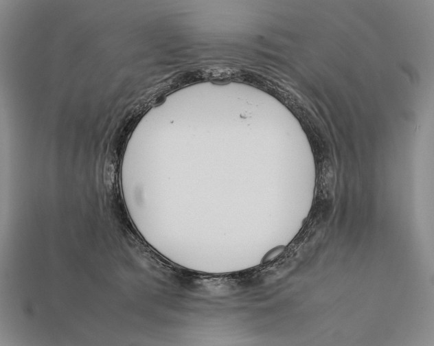 X0000112400417200909110933