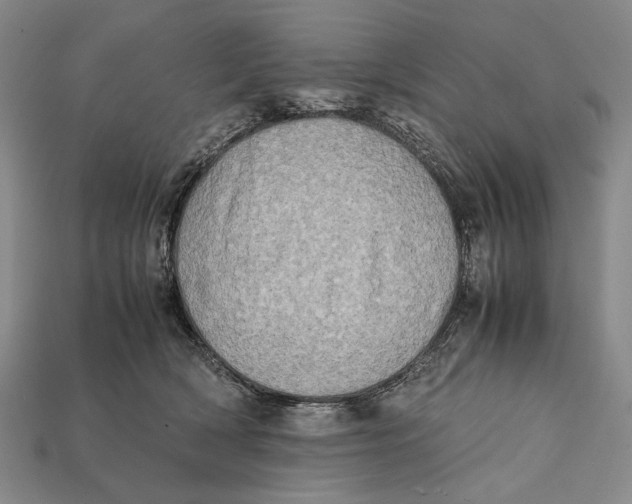 X0000112400418200909110933