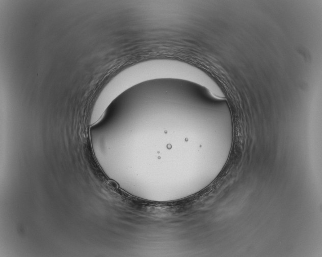 X0000112400419200909110933