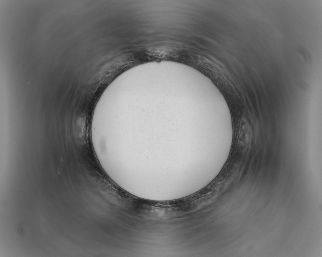 X0000112400420200909110933