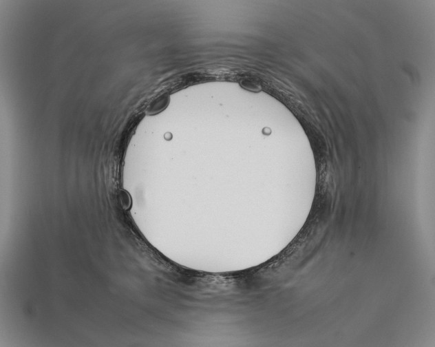 X0000112400421200909110933