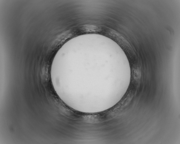 X0000112400422200909110933