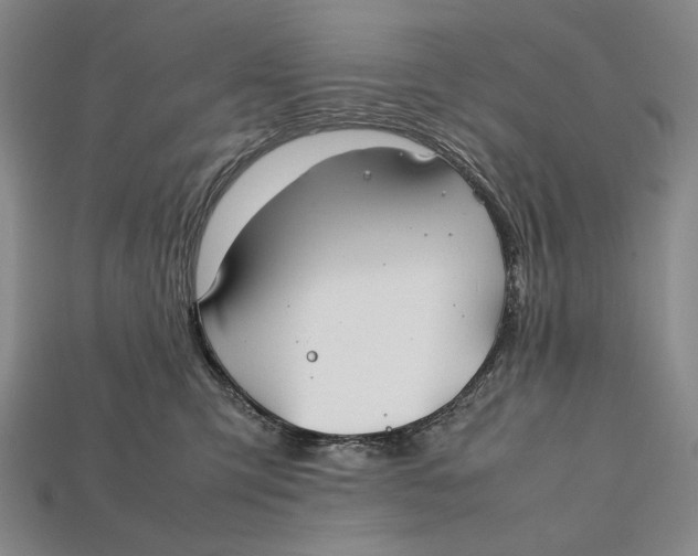 X0000112400423200909110933