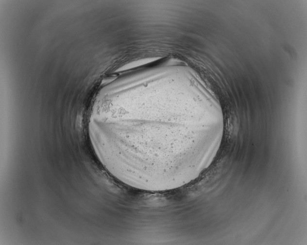 X0000112400424200909110933