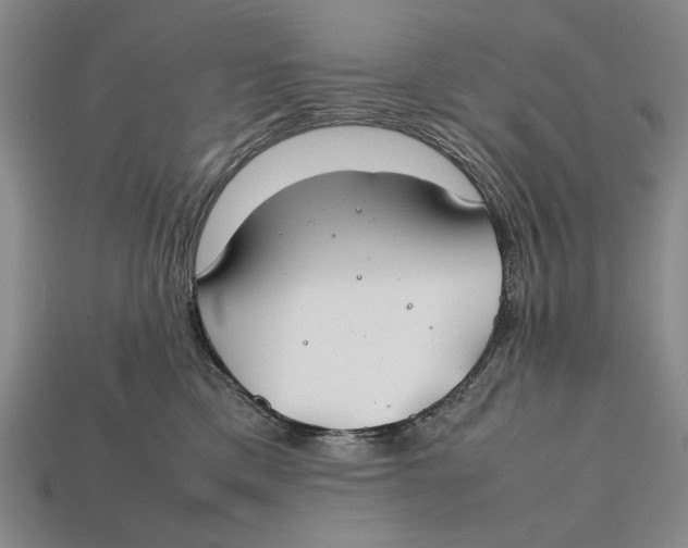 X0000112400425200909110933