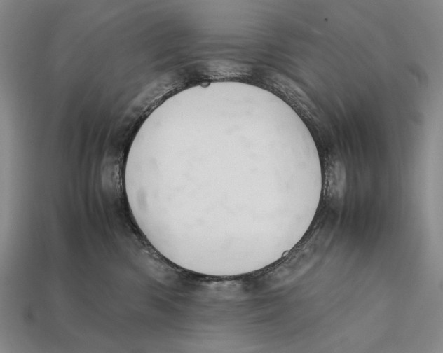 X0000112400426200909110933