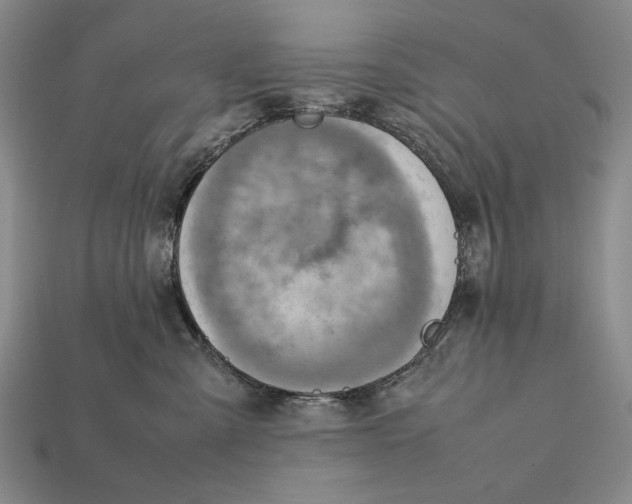 X0000112400427200909110933
