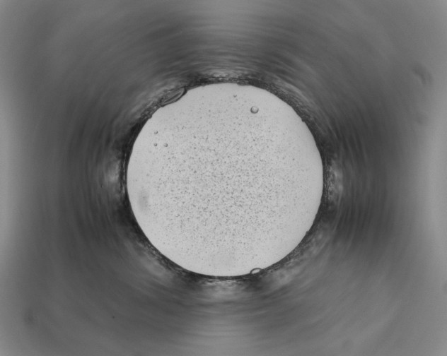 X0000112400428200909110933