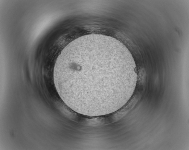 X0000112400430200909110933