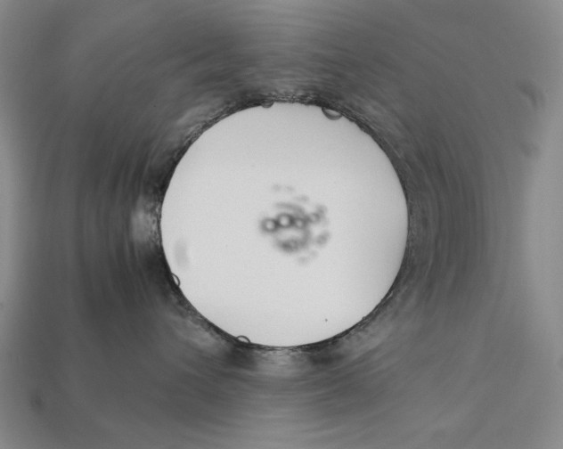 X0000112400432200909110933