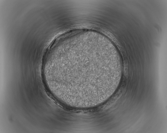 X0000112400434200909110932
