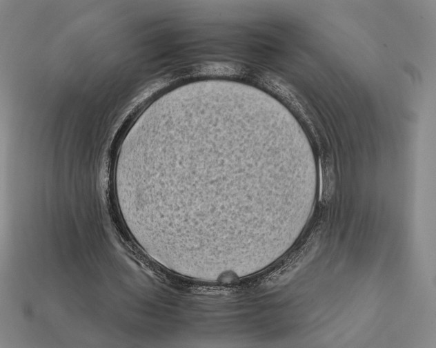 X0000112400435200909110932