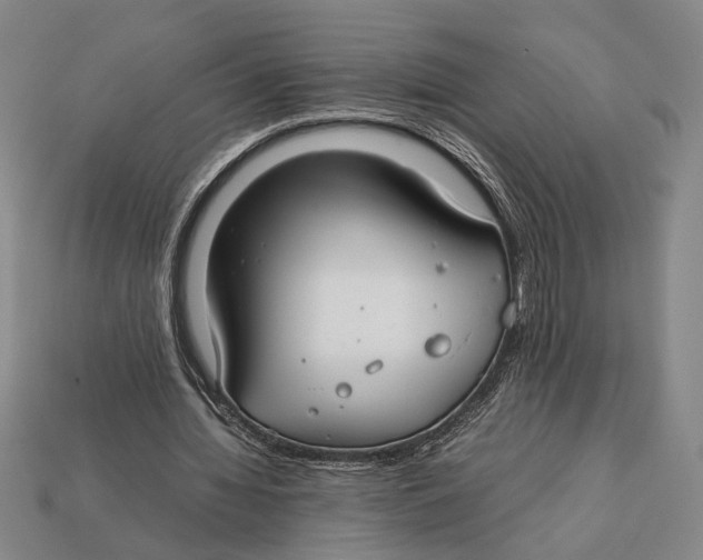 X0000112400436200909110932