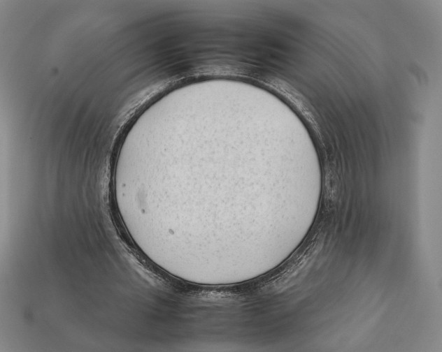 X0000112400437200909110932