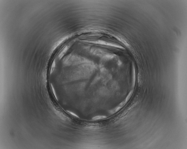X0000112400438200909110932