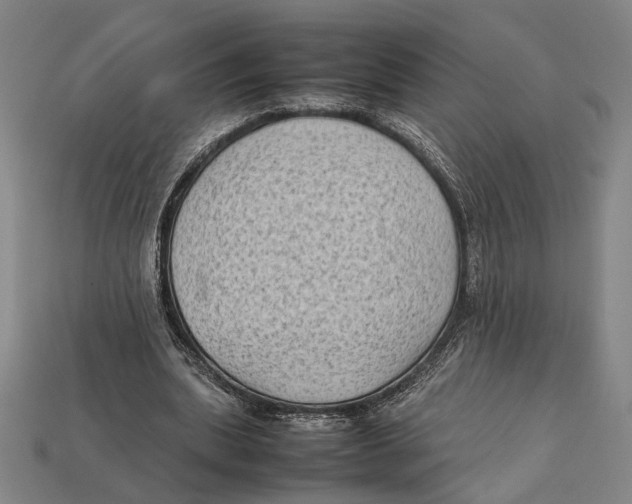 X0000112400439200909110932