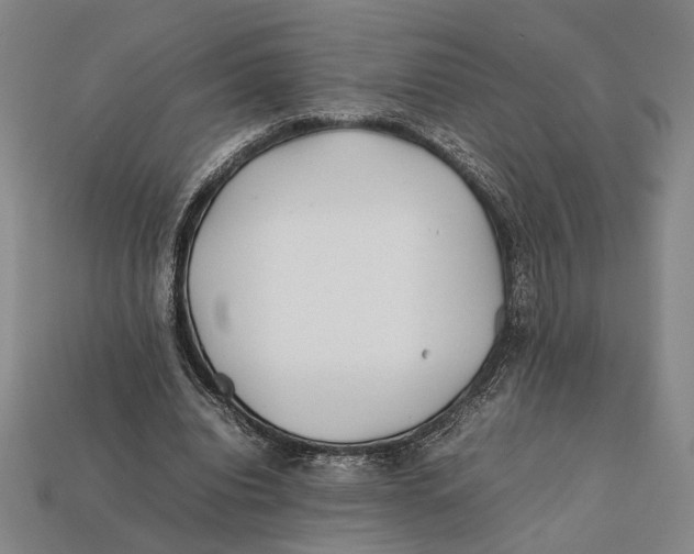 X0000112400440200909110932