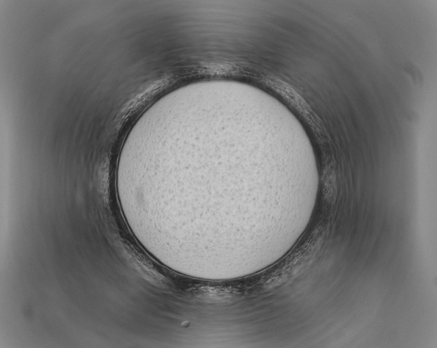 X0000112400442200909110932