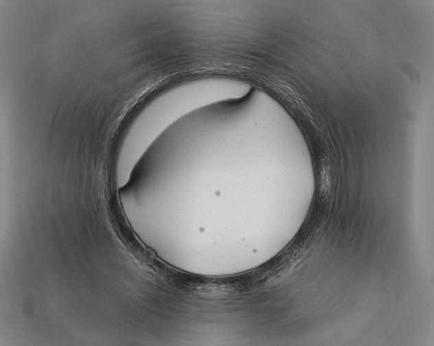X0000112400444200909110932