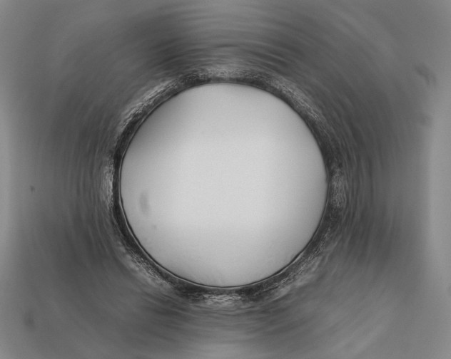 X0000112400446200909110932