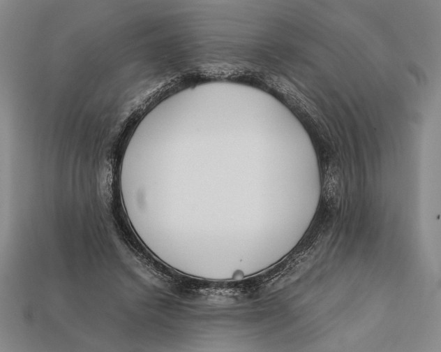X0000112400448200909110932