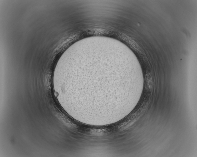X0000112400450200909110932