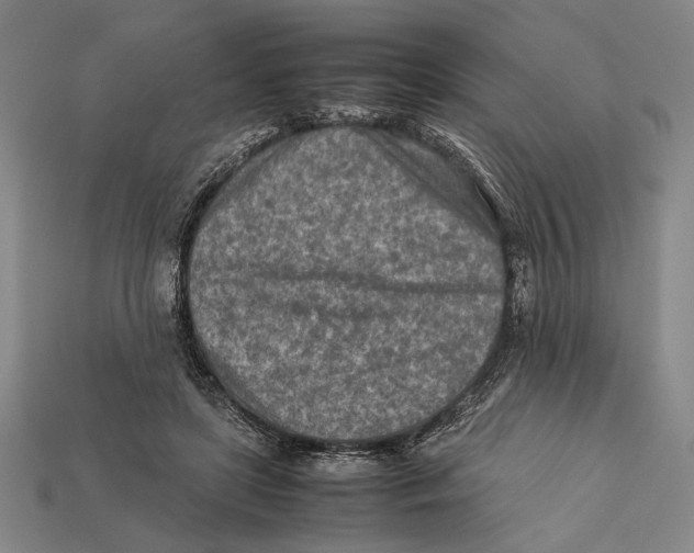 X0000112400451200909110932