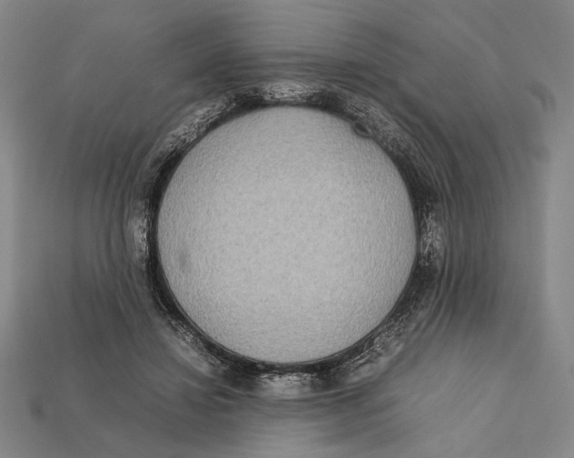 X0000112400452200909110932