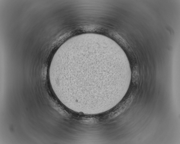 X0000112400454200909110932