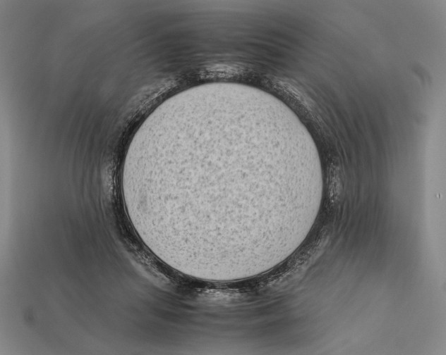 X0000112400455200909110932