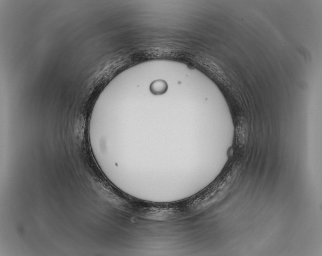 X0000112400458200909110932
