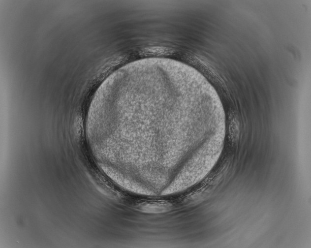 X0000112400459200909110932