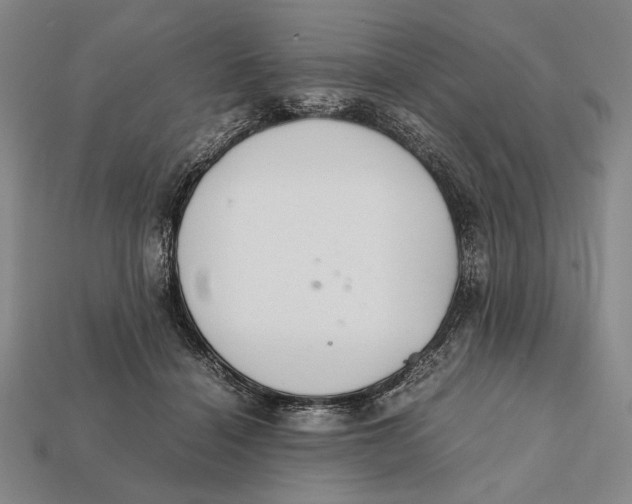 X0000112400460200909110932