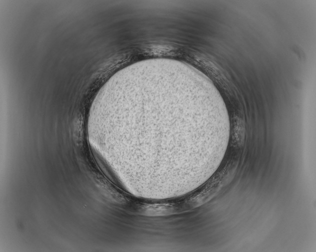 X0000112400461200909110932