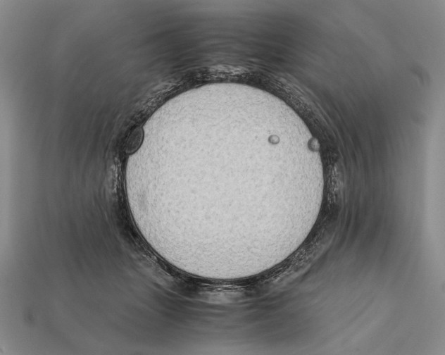 X0000112400463200909110932