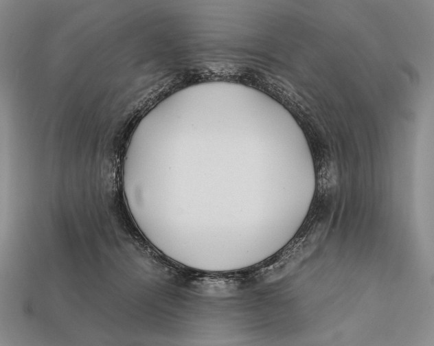 X0000112400464200909110932