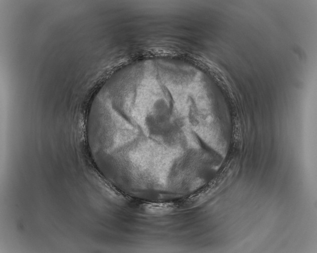 X0000112400465200909110932