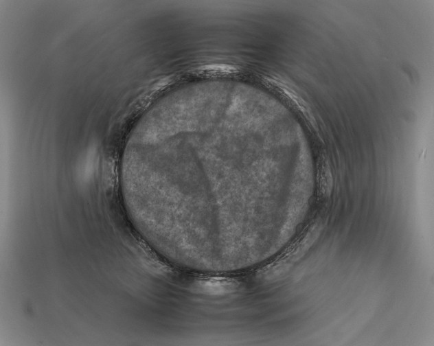X0000112400467200909110933